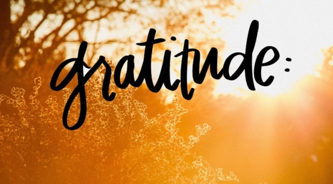 Gratitude Week